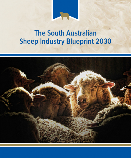 SA Sheep Industry Blueprint 2030